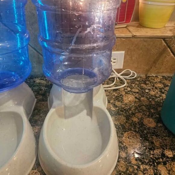 Dog Water Bowl and Food Bowl Automatic Pet Feeder 12" - Picture 3 of 3